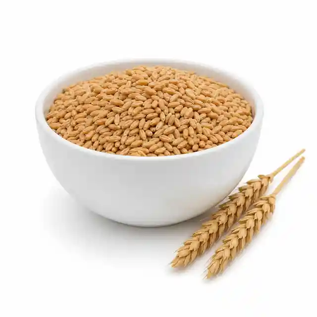 Einkorn