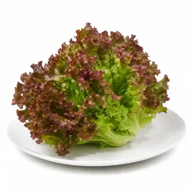 Lettuce (Leaf)