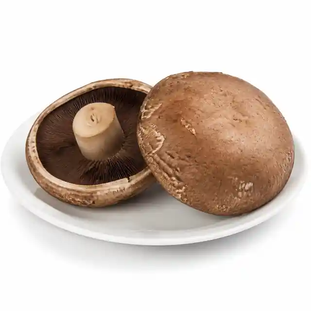 Portabella Mushroom