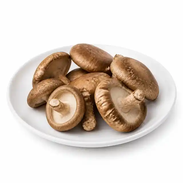 Shiitake Mushroom