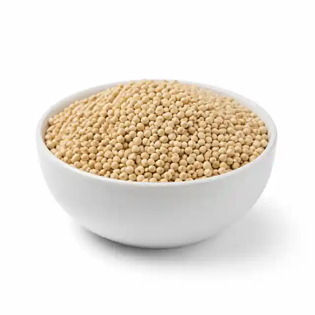 Sorghum Grain