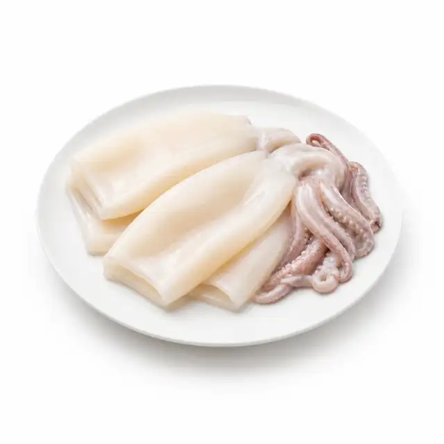 Squid (Calamari)