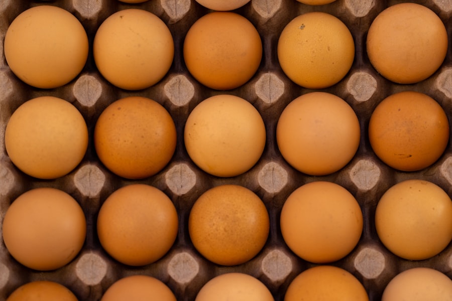 Understanding the Paleo Diet: Principles and Benefits